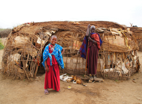 Tanzania - Huisje, ......., beestje