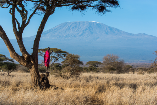 Kenia - Bush walk