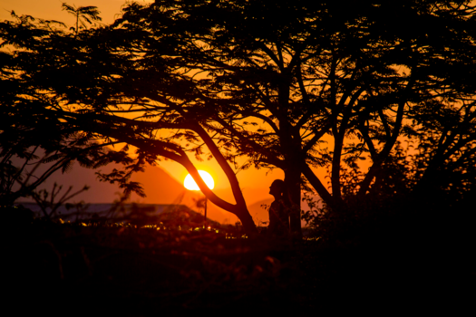 Madagaskar - ik zie ik zie