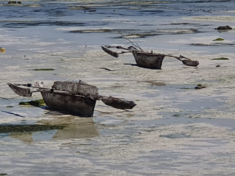 Stranden van Zanzibar - Duo bij eb