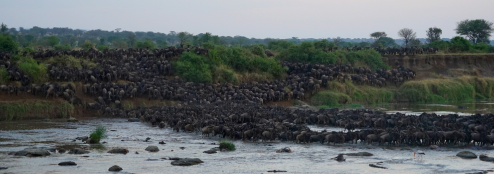 Serengeti National Park - Crossing