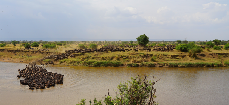 Serengeti National Park - Mara river