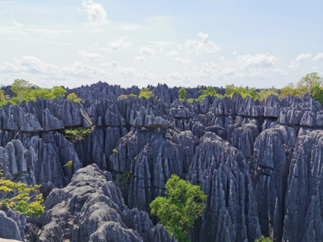 Madagaskar - Wauw hoe natuur kan ontstaan door water en wind