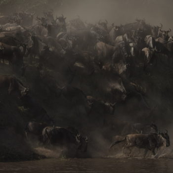 Tanzania - ‘1861’