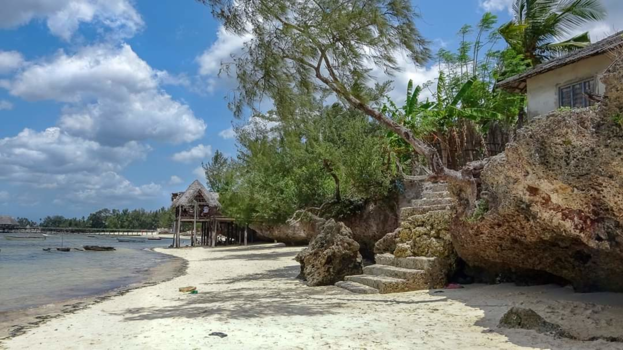 Tanzania - Strand op Zanzibar
