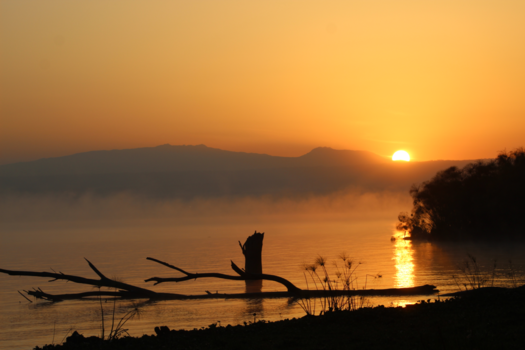 Rondreis Kenia - Zonsopkomst bij Lake Naivasha