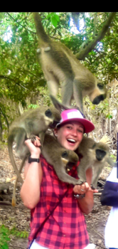 Gambia - Funn with monkey's