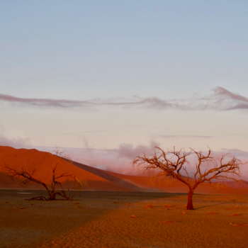 Sossusvlei - Zonsopkomst Dune 45