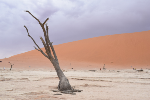 Namibië - Deadvlei - Namibië