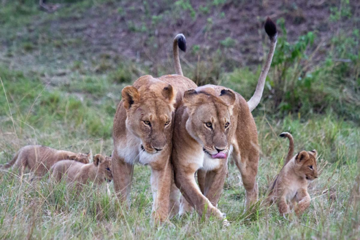 Kenia - Family time