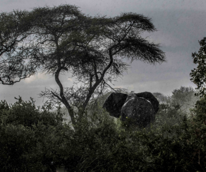 Tanzania - On the run