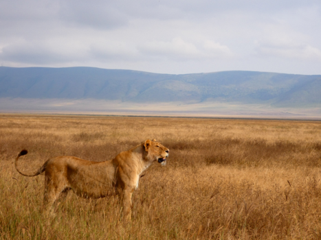 Serengeti National Park