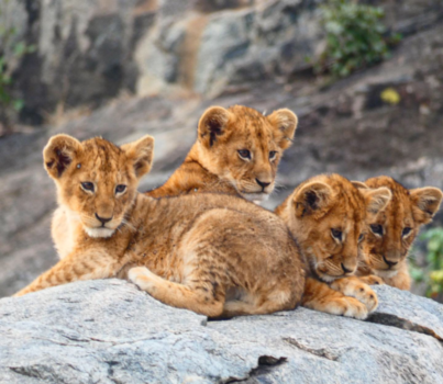 Serengeti National Park