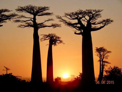 Madagaskar - Magic Baobab Avenue