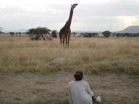 Tanzania - Serengeti national park