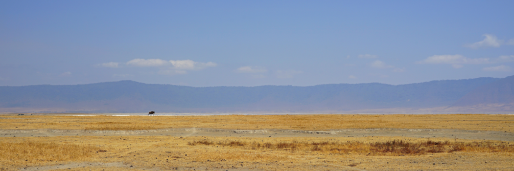 Ngorongoro krater - Oh lonesome me