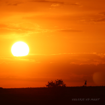 Kenia - Vurige zonsondergang Kenia