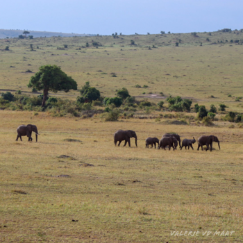 Kenia