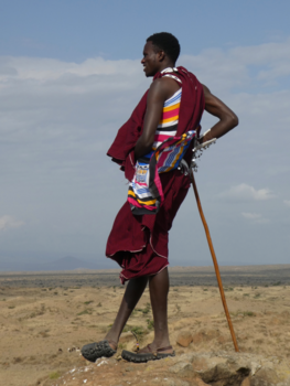 Tanzania - Masaii op de uitkijk