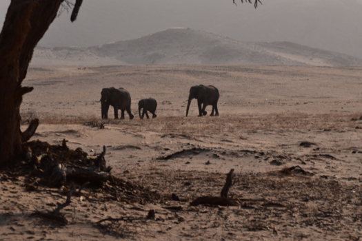 Namibië - Travelling towards peace