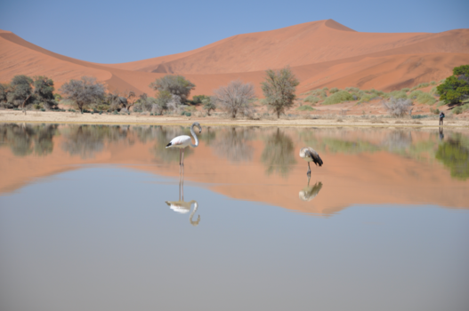Namibië - Sossusvlei