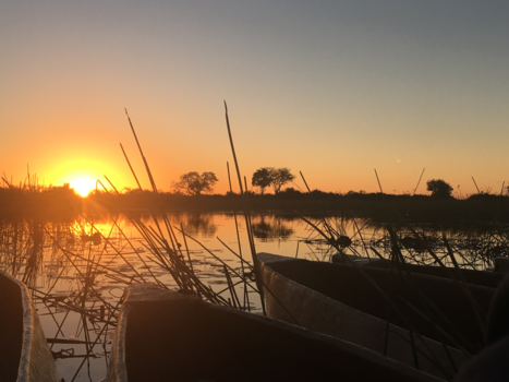 Etosha National Park - Mokorro