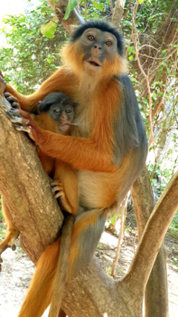 Gambia - Moeder natuur op zijn puurst <3