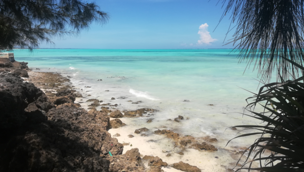 Stranden van Zanzibar - Helderblauwe zee