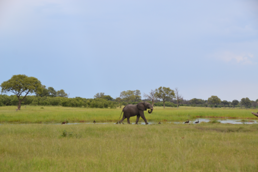 Botswana