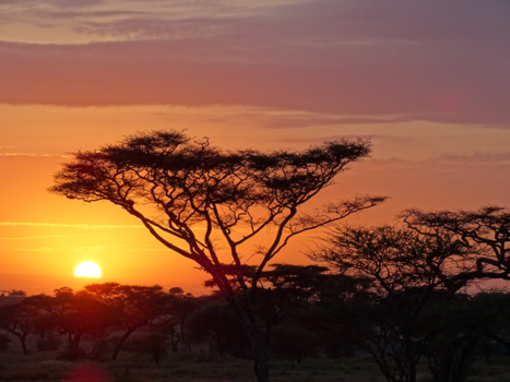 Tanzania - Schilderijtje..