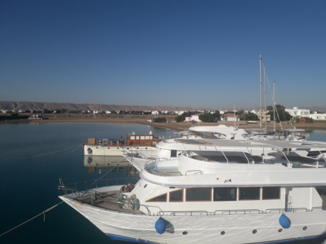 Egypte - Snorkeltrip rode zee el gouna
