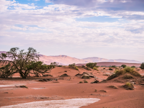 Sossusvlei - Surrealistisch landschap in Sossusvlei Namibie