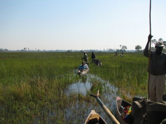 Okavango Delta - op weg met mokoro's