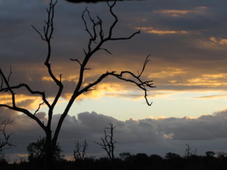 Hlane en Mkhaya wildparken