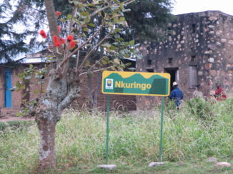 Bwindi Impenetrable National Park