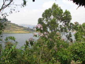 Lake Bunyonyi