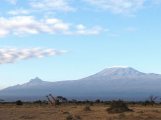 Amboseli National Park