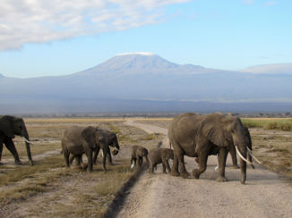 Amboseli National Park