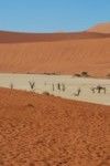 Sossusvlei
