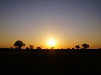 Hwange National Park - Zonsondergang