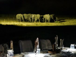 Hwange National Park - Olifanten aan tafel