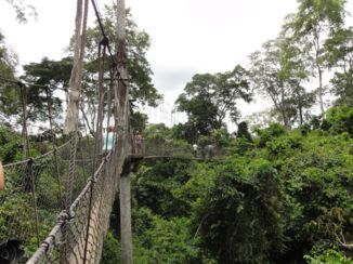 Kakum National Park