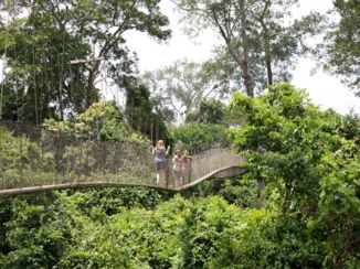Kakum National Park