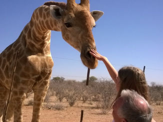 Namibië - Deze chiraf is wel heel mak