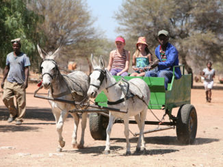 Namibië - Op de ezelkar