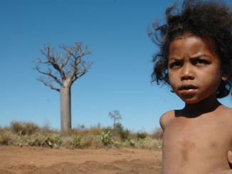Madagaskar - meisje bij Baoab, Madagascar