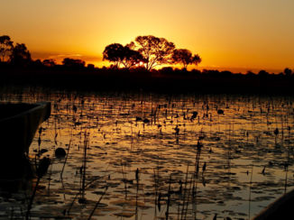 Botswana - Okavango delta sunset