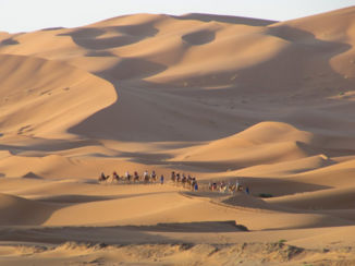 Marokko - Een leuke ervaring op een drommedaris door de woestijn.