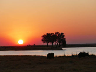 Botswana - zonsondergang Kasane