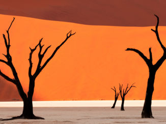 Namibië - Sunrise at Deadvlei